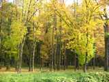 кликни, чтобы увеличить