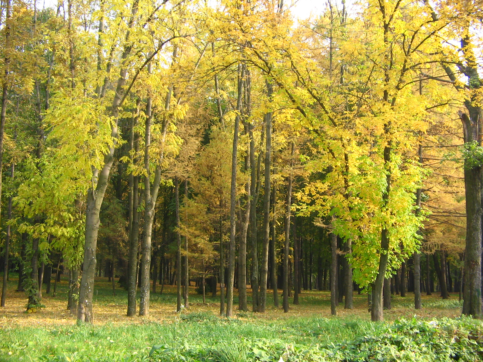 кликни, чтобы увеличить